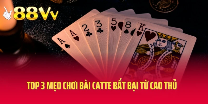 Top 3 mẹo chơi bài Catte bất bại từ cao thủ