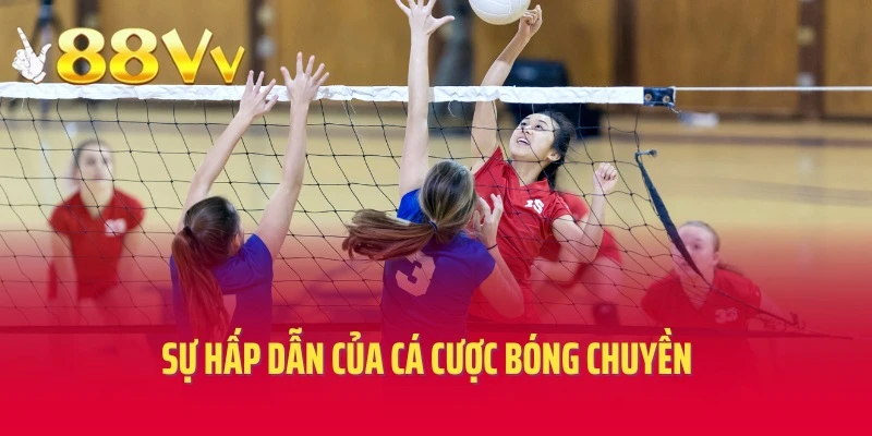 Điều gì làm nên sự hấp dẫn của cá cược bóng chuyền?