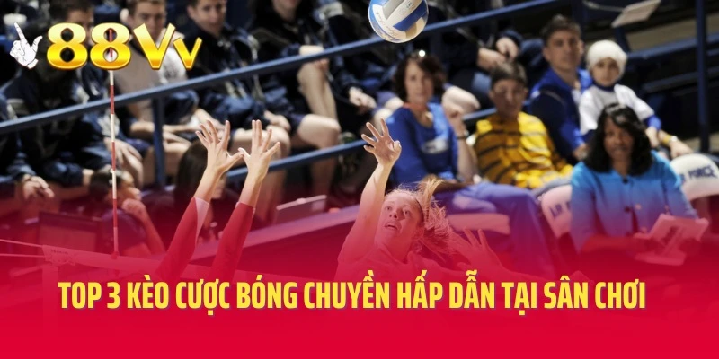 Top 3 kèo cược bóng chuyền hấp dẫn tại sân chơi
