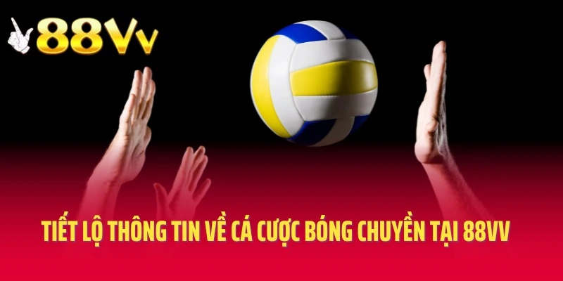 Tiết lộ các thông tin về cá cược bóng chuyền tại 88vv