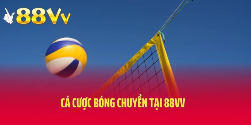 Cá Cược Bóng Chuyền Tại 88vv - Săn Thưởng Siêu Hot 2025