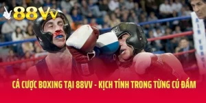 Cá Cược Boxing Tại 88VV - Kịch Tính Trong Từng Cú Đấm