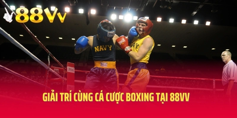 Giải trí cùng cá cược boxing tại 88VV