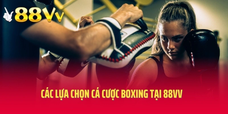 Các lựa chọn cá cược boxing tại 88VV