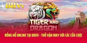 Rồng Hổ Online Tại 88VV - Thử Vận May Với Các Cửa Cược